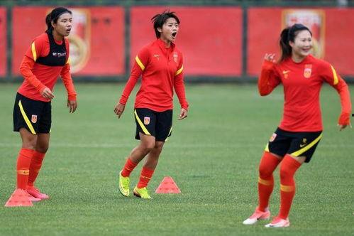 中国女足最新爆料,揭秘备战世界杯的备战秘籍与励志故事